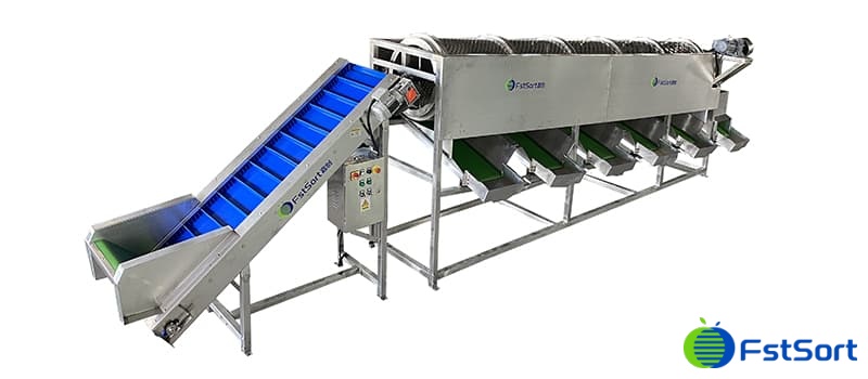 walnut sorting machine.jpg walnut sorting machine.jpg